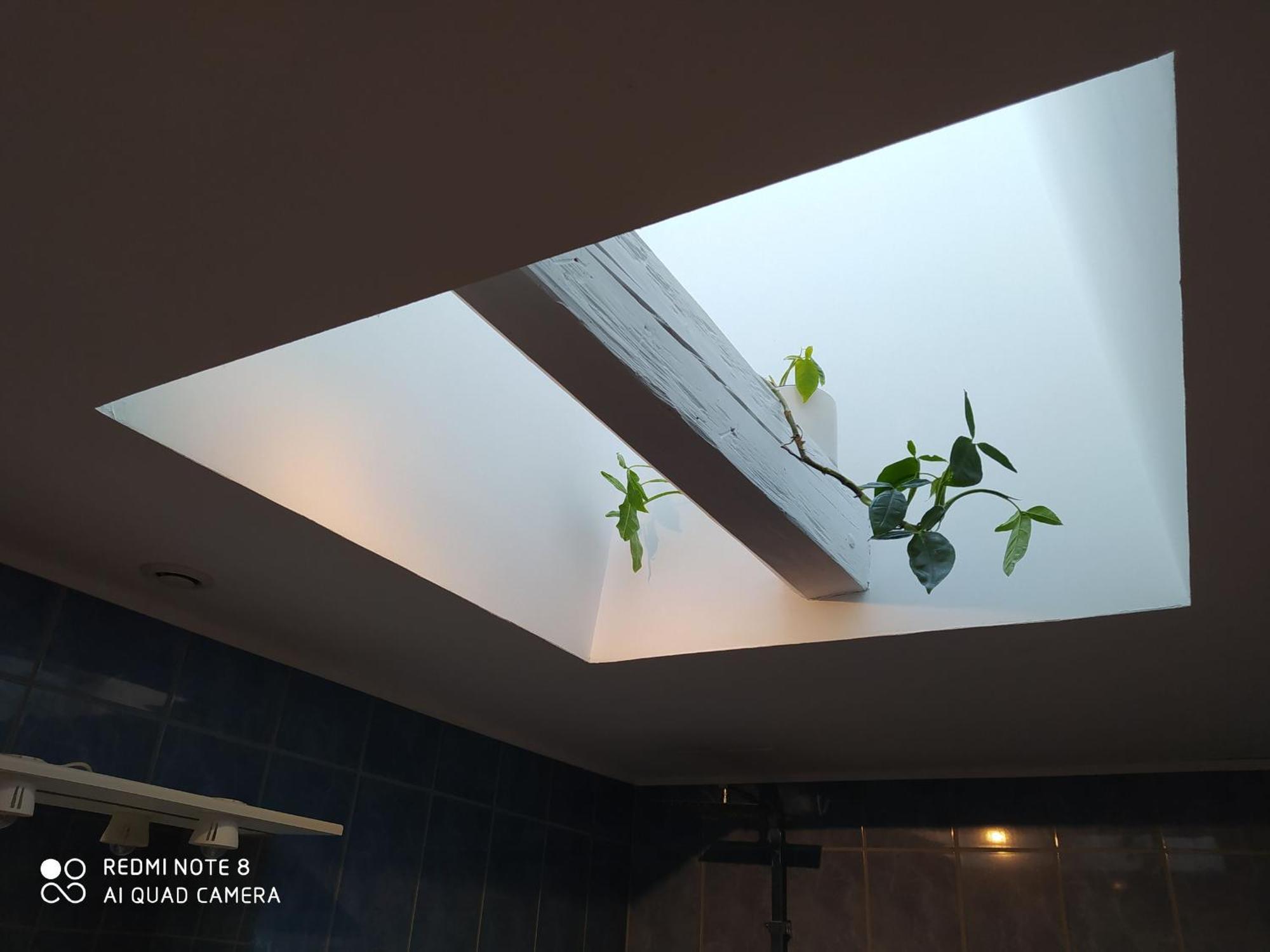 Gite Calme 4 Chambres, Terrasse Privative, Draps Inclus - Germonville - Fr-1-584-167 Εξωτερικό φωτογραφία