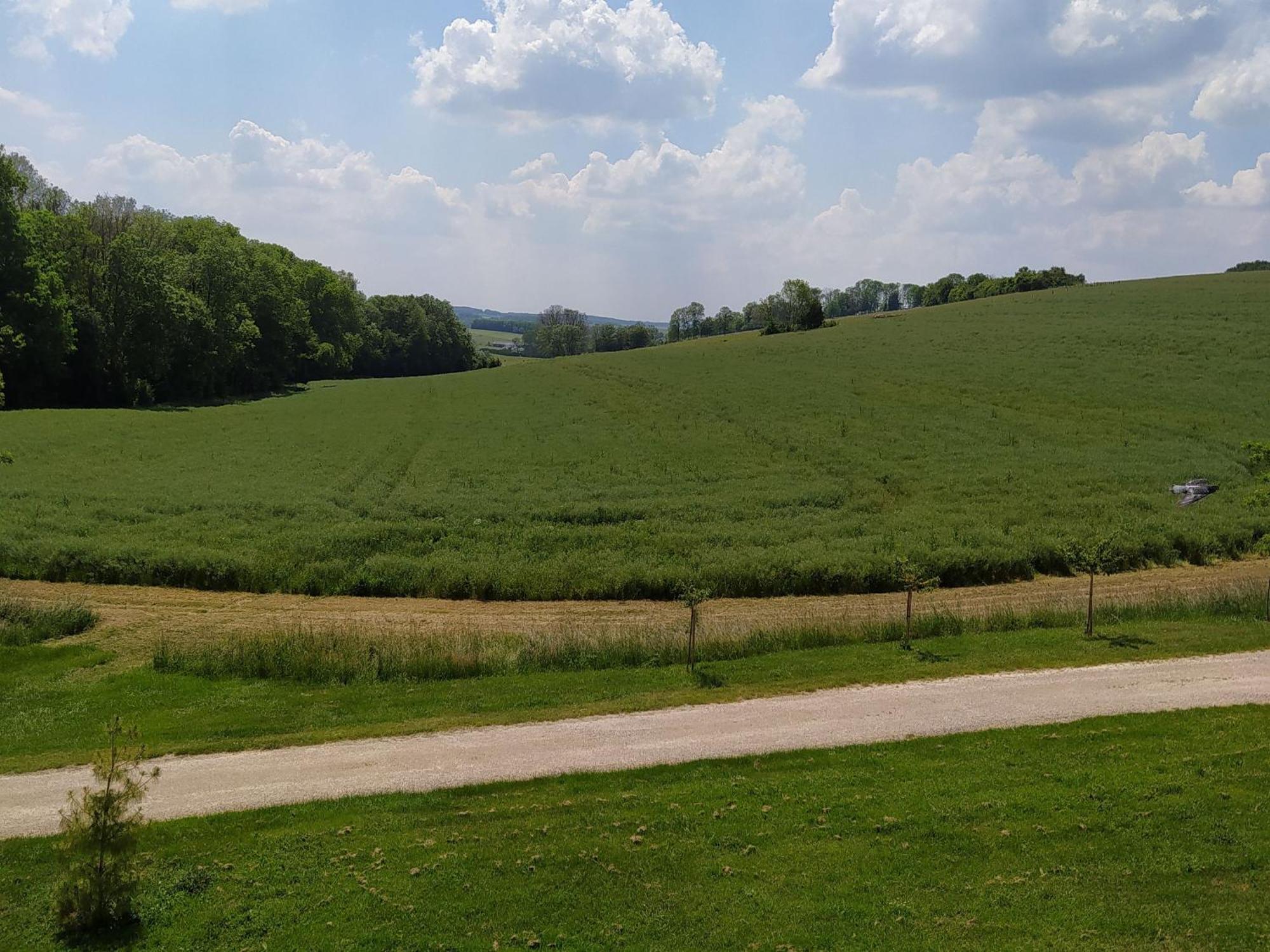 Gite Calme 4 Chambres, Terrasse Privative, Draps Inclus - Germonville - Fr-1-584-167 Εξωτερικό φωτογραφία